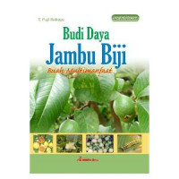 Budi Daya Jambu Biji Buah Multimanfaat