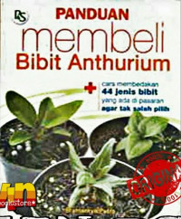 Panduan Membeli Bibit Anthurium